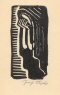 V�t�� obr�zek.