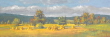 V�t�� obr�zek.